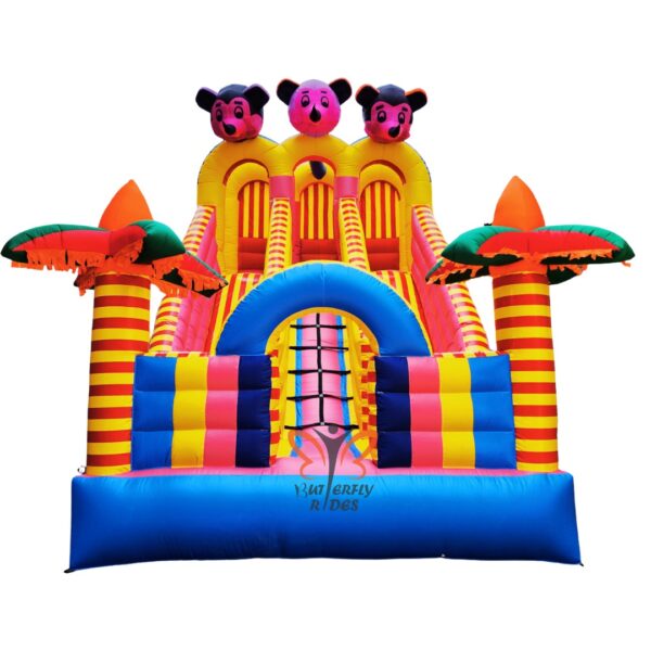 Inflatable Bouncy Ride